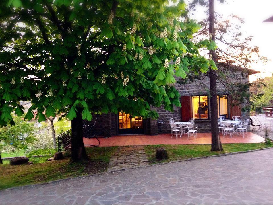 Albergo Ristorante Letizia Chiusi della Verna Exterior foto